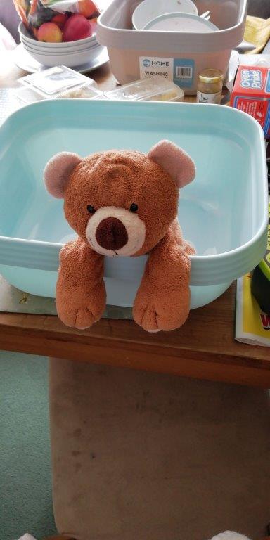 1.New bear